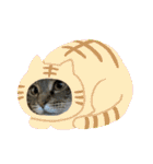 ねこのきいちゃん・いろんなスタンプ（個別スタンプ：9）