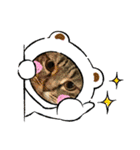 ねこのきいちゃん・いろんなスタンプ（個別スタンプ：11）