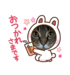 ねこのきいちゃん・いろんなスタンプ（個別スタンプ：14）