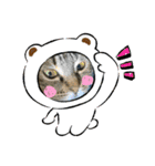 ねこのきいちゃん・いろんなスタンプ（個別スタンプ：18）