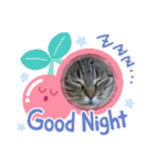 ねこのきいちゃん・いろんなスタンプ（個別スタンプ：23）