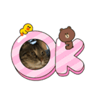 ねこのきいちゃん・いろんなスタンプ（個別スタンプ：26）