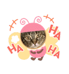 ねこのきいちゃん・いろんなスタンプ（個別スタンプ：27）