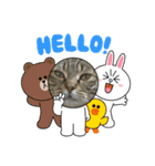 ねこのきいちゃん・いろんなスタンプ（個別スタンプ：28）