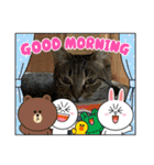 ねこのきいちゃん・いろんなスタンプ（個別スタンプ：32）