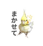 オカメインコのボケちゃん（個別スタンプ：4）