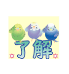 動く！インコトリ尾 vol.2（個別スタンプ：6）