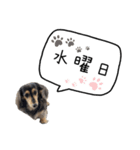 らむのスタンプ⓷（個別スタンプ：4）