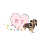 らむのスタンプ⓷（個別スタンプ：13）