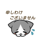 癒し猫〈敬語スタンプ〉（個別スタンプ：12）