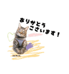 むし子んちの保護猫ことちゃんとばんくん（個別スタンプ：8）