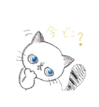 かわいい猫のハイネ（個別スタンプ：1）