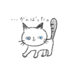かわいい猫のハイネ（個別スタンプ：8）