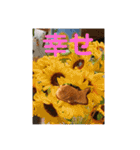 高級たいやきの編（個別スタンプ：26）