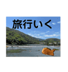高級たいやきの編（個別スタンプ：31）