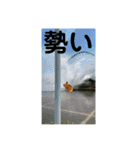 高級たいやきの編（個別スタンプ：33）