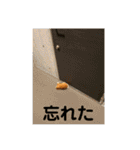 高級たいやきの編（個別スタンプ：39）