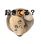 高級たいやきの編（個別スタンプ：40）
