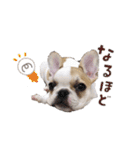 おてんば娘もなか（個別スタンプ：8）