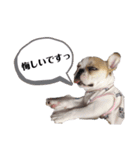 おてんば娘もなか（個別スタンプ：25）