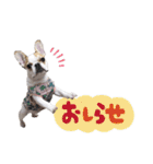 おてんば娘もなか（個別スタンプ：27）