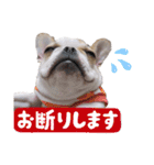 おてんば娘もなか（個別スタンプ：28）