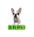 おてんば娘もなか（個別スタンプ：29）