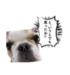 おてんば娘もなか（個別スタンプ：30）