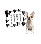 おてんば娘もなか（個別スタンプ：31）