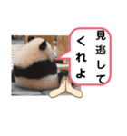 たけしのスタンプ その26（個別スタンプ：5）