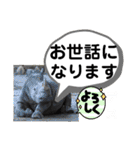 たけしのスタンプ その26（個別スタンプ：6）