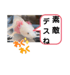 たけしのスタンプ その26（個別スタンプ：10）