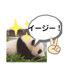 たけしのスタンプ その26（個別スタンプ：12）