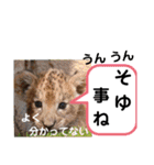 たけしのスタンプ その26（個別スタンプ：13）