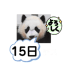 たけしのスタンプ その26（個別スタンプ：16）