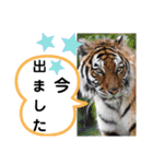 たけしのスタンプ その26（個別スタンプ：18）