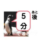 たけしのスタンプ その26（個別スタンプ：20）