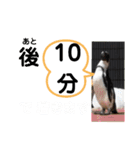 たけしのスタンプ その26（個別スタンプ：21）