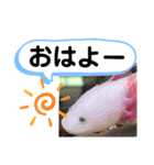 たけしのスタンプ その26（個別スタンプ：24）