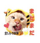 笹かま猫のハク2（個別スタンプ：8）