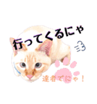 笹かま猫のハク2（個別スタンプ：14）