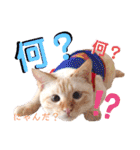 笹かま猫のハク2（個別スタンプ：26）