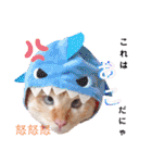 笹かま猫のハク2（個別スタンプ：32）