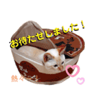 笹かま猫のハク2（個別スタンプ：36）