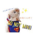 笹かま猫のハク2（個別スタンプ：38）