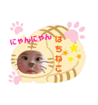 カーリーはち子0歳の記録★（個別スタンプ：11）