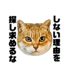 日常会話で使える！！猫語スタンプ1（個別スタンプ：5）