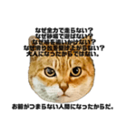 日常会話で使える！！猫語スタンプ1（個別スタンプ：13）