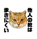 日常会話で使える！！猫語スタンプ1（個別スタンプ：14）