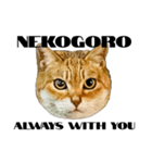 日常会話で使える！！猫語スタンプ1（個別スタンプ：16）